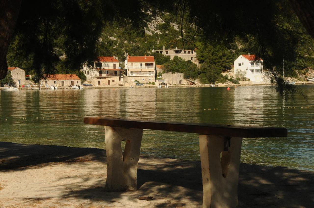 New Sea Song Maranovici